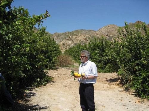 La Junta  abona 10,2 millones de euros en ayudas directas a productores almerienses de almendra, olivar, cítricos y ovino