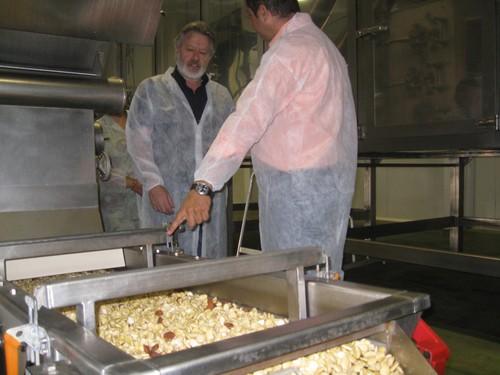 El valor de la almendra de Almería exportada hasta octubre superó los 10,6 millones de euros, un 60% más que en 2009