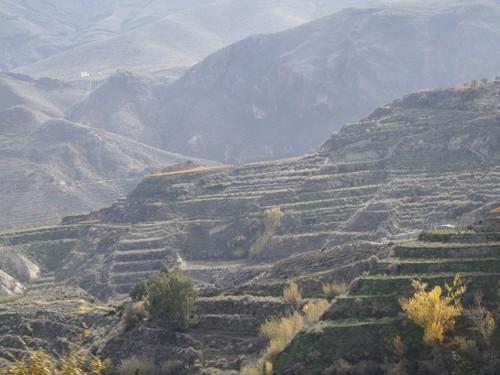 El MARM convoca ayudas destinadas a la innovación tecnológica en el medio rural para el ejercicio 2011