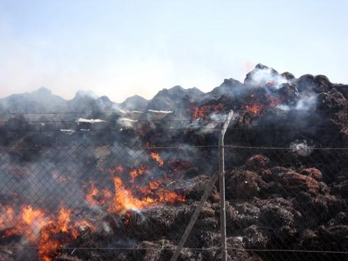 Crearán una comisión de seguimiento para controlar la gestión de Ejido Medio Ambiente