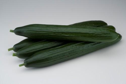 Nunhems presenta su nueva variedad de pepino, RijanaF1