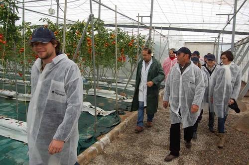 Técnicos de Agroponiente y Vegacañada visitaron la Estación Experimental de Las Palmerillas