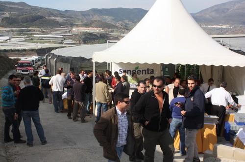 Syngenta Seeds presenta su novedades en pepino de invierno