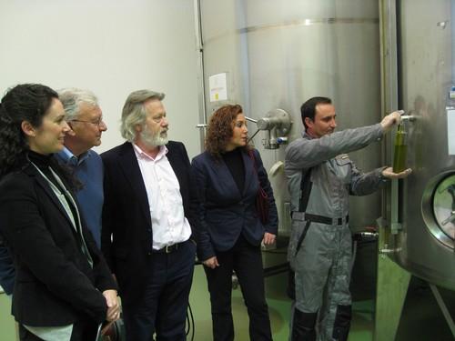 La Junta incentiva la producción de aceite de calidad con una ayuda para la modernización de ‘Campos de Uleila’
