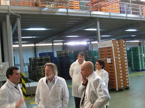 La Junta apoya con más de 1'5 millones la modernización de dos empresas hortícolas de Almería