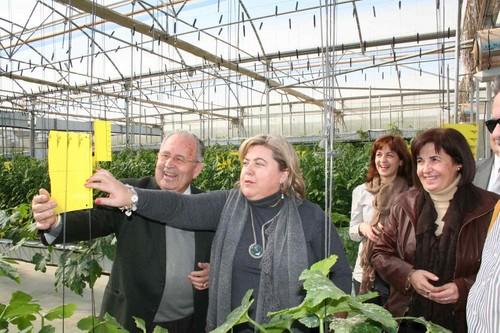 Agricultura confirma el liderazgo andaluz tras invertir más de 167 millones desde 2007 en producción ecológica