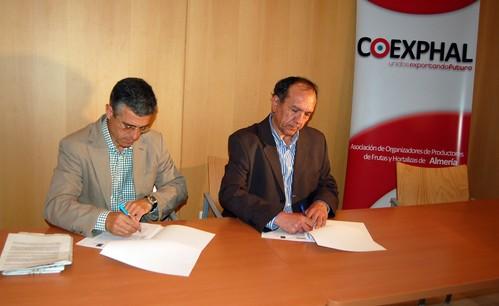 COEXPHAL y FEAPS Andalucía trabajarán juntos por la integración de personas con discapacidad intelectual en el sector