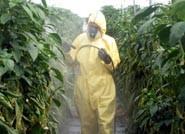 Los agricultores tendrán 300 nuevos fitosanitarios la próxima campaña