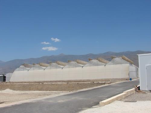 Los invernaderos de excelencia convencen poco a los agricultores