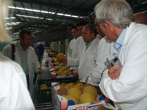 En Edeka aseguran que el futuro del campo de Almería pasa por un giro en su producción