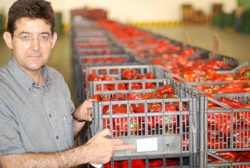 «Almería está llamada a alcanzar un prestigio importante en cuanto a melón»