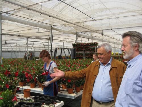 Almería incrementa un 70% la superficie de cultivo de planta ornamental en los cinco últimas campañas