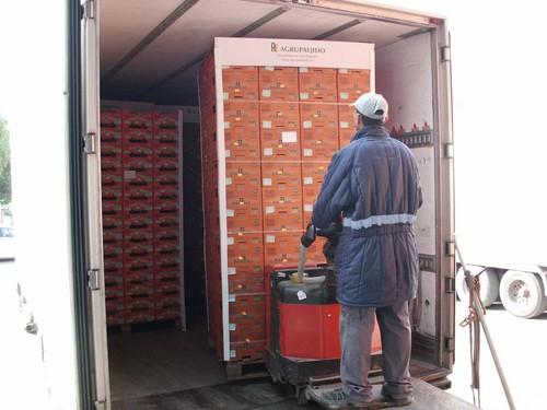 Agrupaejido comienza a enviar productos a Inglaterra por barco