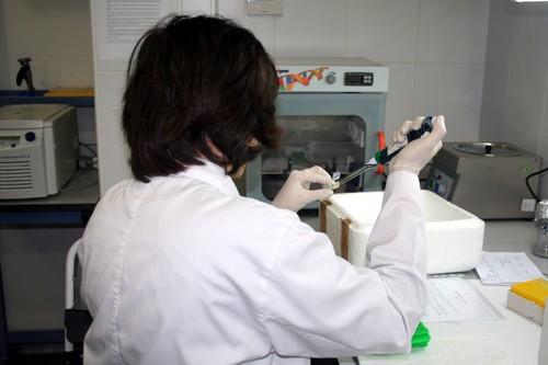 Savia Biotech diseña un nuevo servicio para detectar la bacteria O104H4 en partidas de pepinos