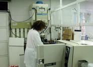 Los análisis hortícolas en el laboratorio CUAM han dado siempre negativo en Escherichia coli