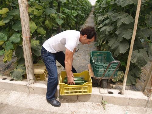Fepex requiere medidas de gestión de crisis hoy ante la grave situación en las zonas de producción de frutas y hortalizas