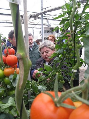 Agricultura destaca la recuperación de mercados como objetivo estratégico tras la retirada de las alertas sanitarias