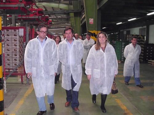 El PP reclama en el PE utilizar los 2.500 millones de euros sin gastar de la Política Agrícola Común para indemnizar a los productores hortofrutícolas