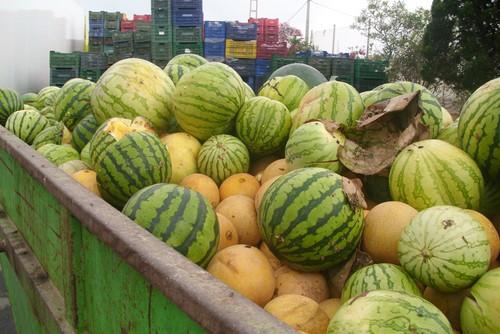 La propuesta de compensación de la Comisión al sector hortofrutícola sigue siendo insuficiente, para FEPEX