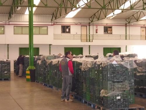 ECOHAL Andalucía reclamará a distintas administraciones medidas concretas de ayuda al sector