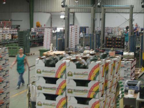 FEPEX plantea al MARM la realización inmediata de campañas de promoción del consumo de frutas y hortalizas