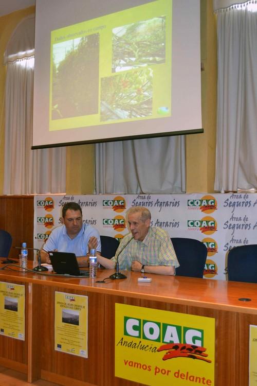 COAG Almería financia la póliza del seguro agrario a los agricultores de la provincia