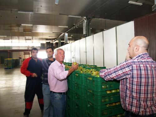 El Gobierno andaluz refuerza los controles  de comercialización de frutas y hortalizas frescas