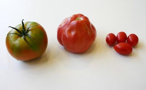 Horticultores de Cataluña, Baleares y Almería se reparten los premios del primer concurso “El Tomate del Año”