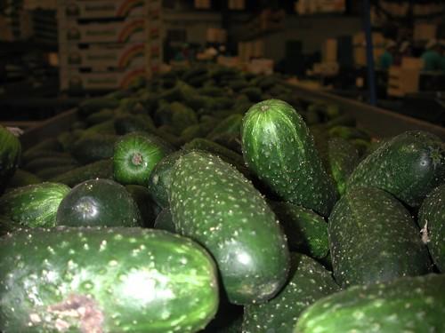 Ecohal Andalucía califica de indigno y falta de respeto las indemnizaciones establecidas por la crisis de la 'E. coli'