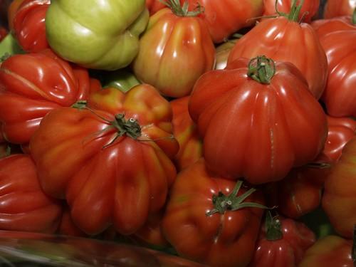 La comisión de Agricultura del Parlamento Europeo rechaza el acuerdo agrícola con Marruecos