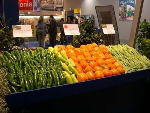 Lorenzo Ramos pide en Europa “respeto” a las frutas y hortalizas españolas