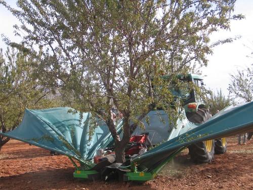 Asaja-Almería recuerda que mañana viernes finaliza el plazo para inscribir la maquinaria agrícola en el ROMA