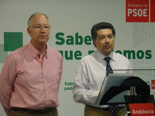 El PSOE de Almería arranca a la CE el compromiso de retirar de Internet la referencia a la alerta sanitaria