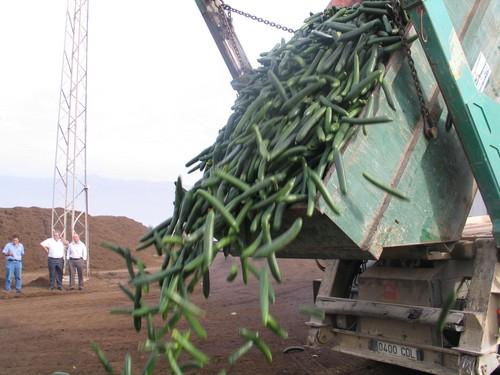 Cajamar anticipará a los agricultores las ayudas concedidas por la UE por la denominada ‘crisis del e-coli’