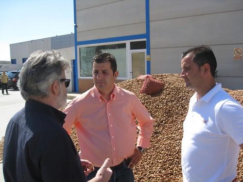 La cosecha de almendra rondará este año las 14.000 toneladas, un 23% más que en 2010