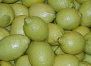 AILIMPO prevé una producción de limón en España de 870.000 toneladas para la próxima campaña 2011/2012 (un descenso del 6,4%)