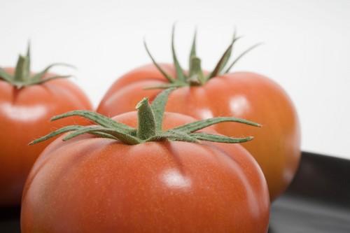 El tomate de La Cañada-Níjar arranca la campaña 2011/2012 asistiendo a Andalucía Sabor