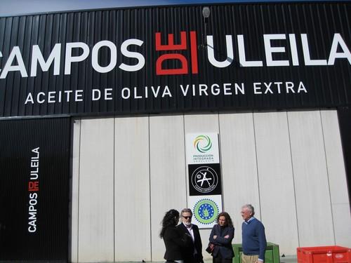 El primer aforo del olivar prevé esta campaña una cosecha de más de 51.500 toneladas de aceituna en Almería