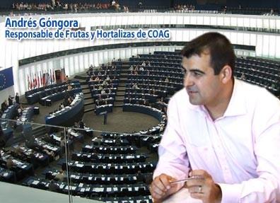 COAG subraya que la renovación del acuerdo UE-Marruecos pondría en peligro 4 de cada 10 empleos agrarios en nuestro país