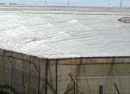 Agricultura  acuerda con dos empresas la prestación gratuita del servicio de recogida de plásticos agrícolas