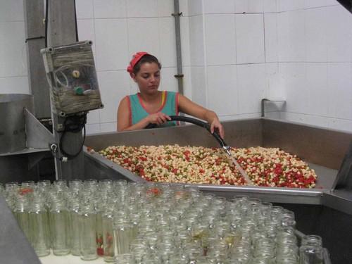 Estados Unidos compra el 60% de la exportación de conservas vegetales de Almería
