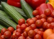 El sector agroalimentario de Almería exporta 1,3 millones de toneladas hasta julio, un 11,8% más que en 2010