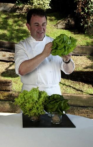 Martín Berasategui lanza a nivel mundial las únicas lechugas vivas Salanova®