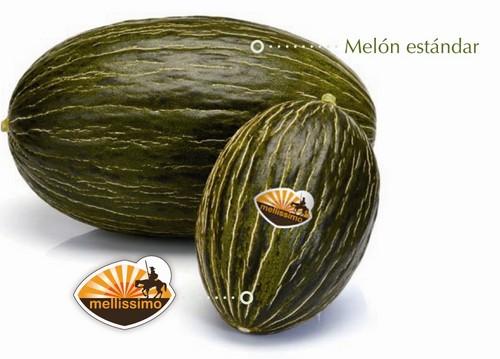 Rijk Zwaan presenta en Madrid su melón 'Mellissimo'