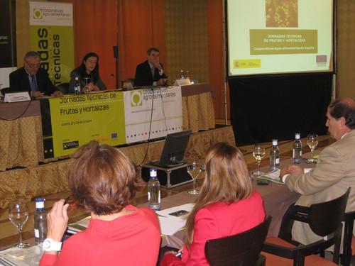  La Junta urge a la Unión Europea nuevos instrumentos para la gestión de crisis en el sector hortofrutícola
