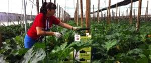 Un grupo de agricultores reduce costes eliminando intermediarios