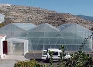 Agricultura publica la resolución provisional de ayudas a invernaderos de excelencia, con una subvención total de 22,2 millones
