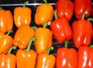 El pimiento multiplica su precio por cuatro desde el origen al destino