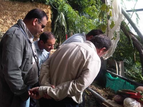 IU El Ejido apoya la creación de una planta de compostaje acorde con el medio ambiente y que beneficie a los agricultores