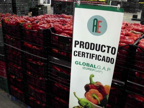 AgrupaEjido ya es miembro productor de GlobalGAP